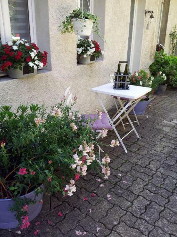 Gîte la Providence Saint-Sernin-du-Plain Extérieur photo