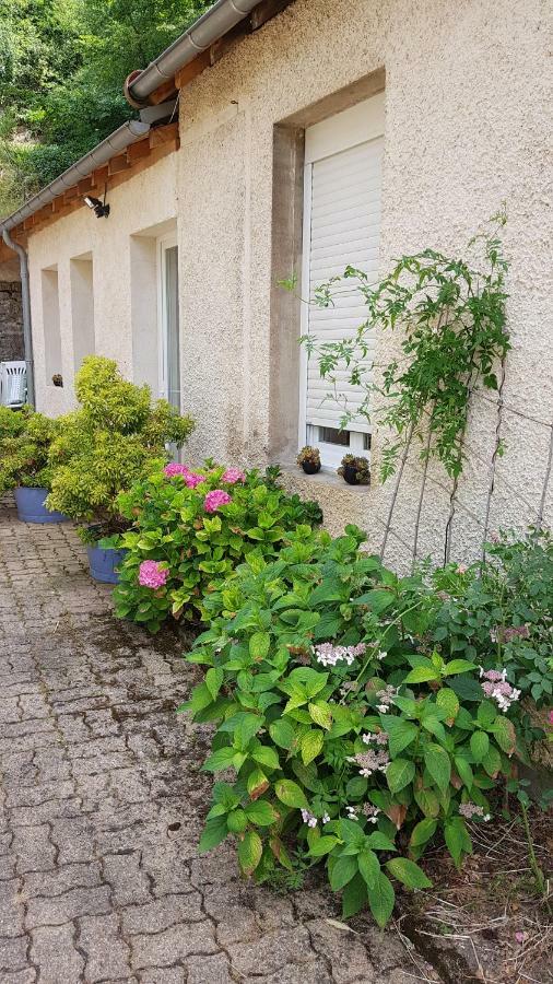 Gîte la Providence Saint-Sernin-du-Plain Extérieur photo